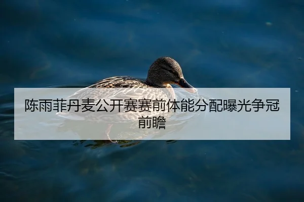 陈雨菲丹麦公开赛赛前体能分配曝光争冠前瞻
